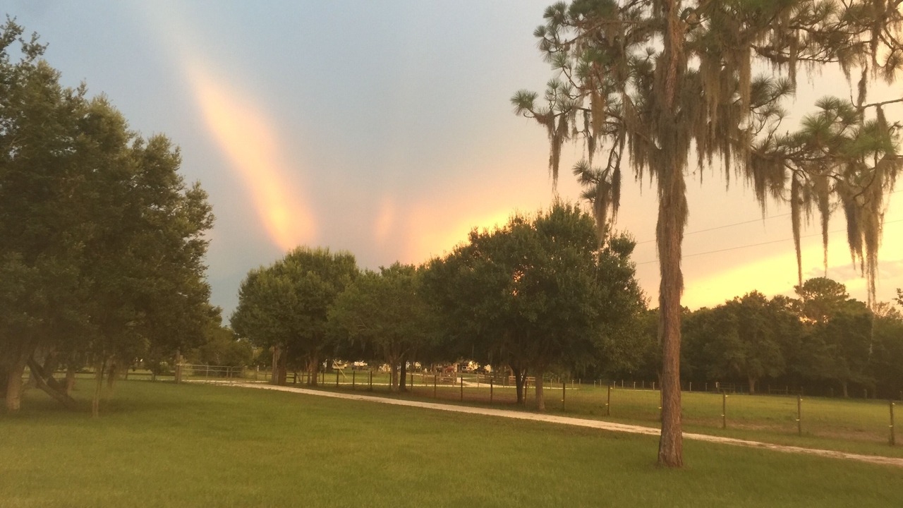 Photo of Others in Braden River