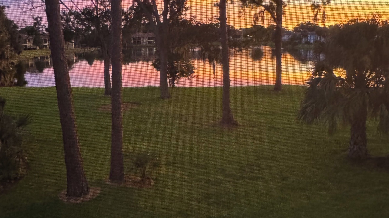 Photo of Outdoor in Oldsmar