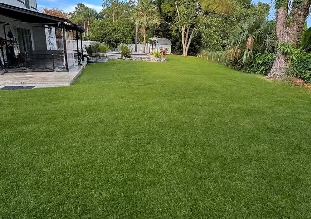 Photo of Outdoor in Tampa