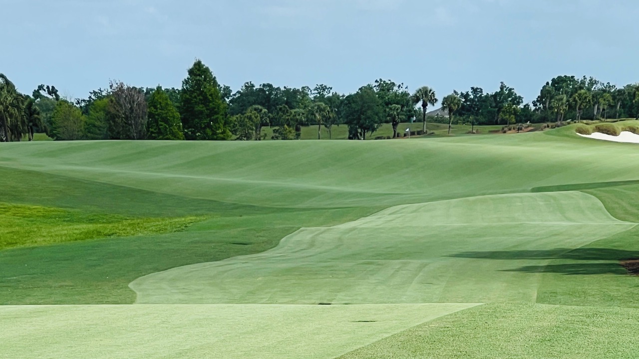 Photo of Others in Lakewood Ranch