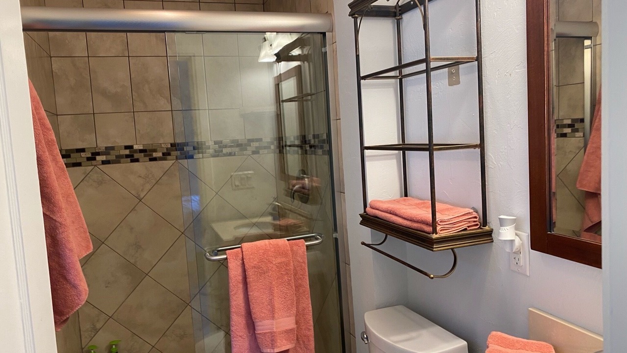 Photo of Bathroom in South Sarasota