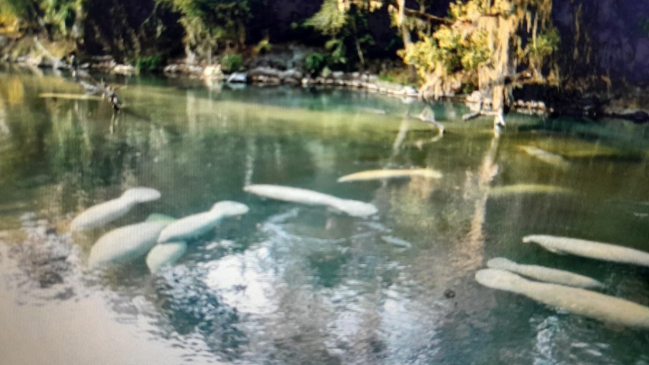 Photo of Others in Brooksville