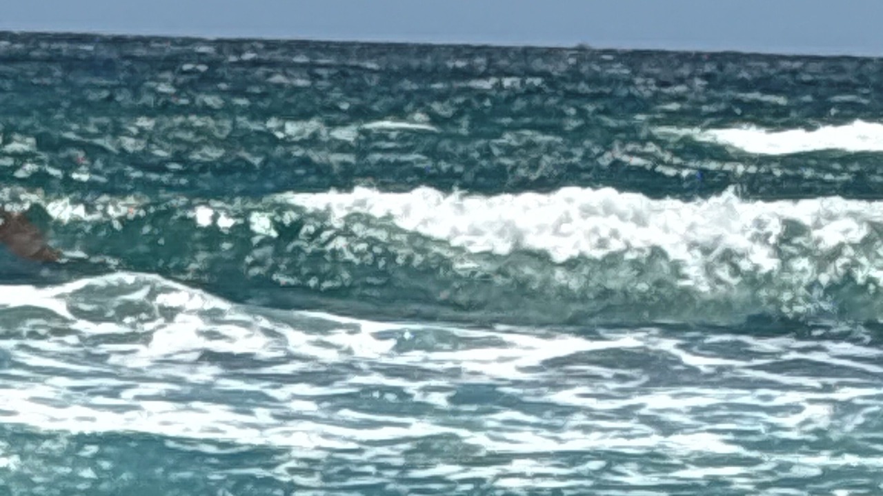 Photo of Others in Lake Worth