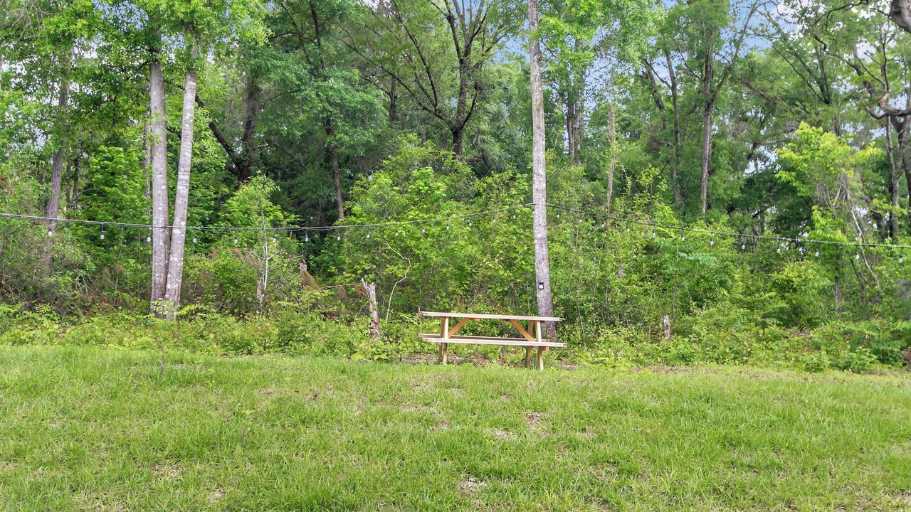 Photo of Outdoor in Ocala