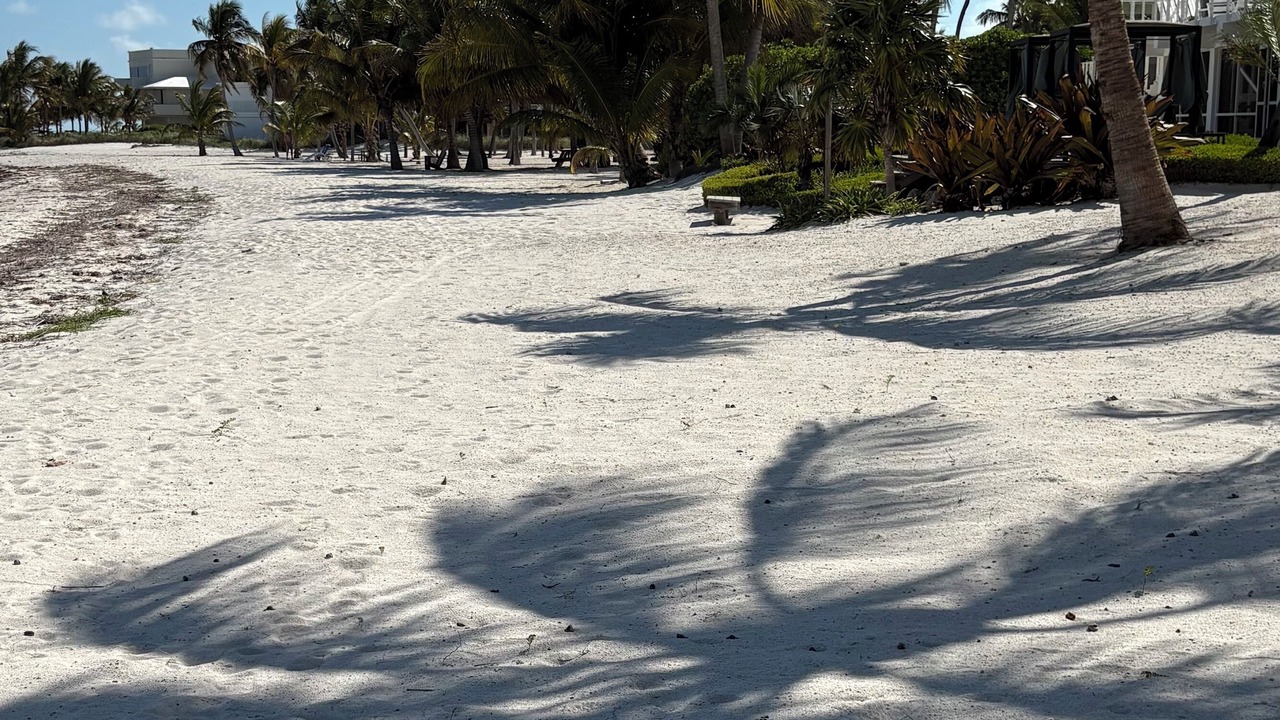 Photo of Others in Islamorada