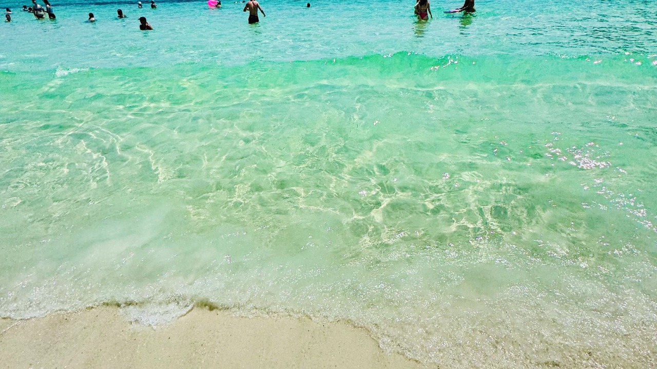 Photo of Others in Pensacola