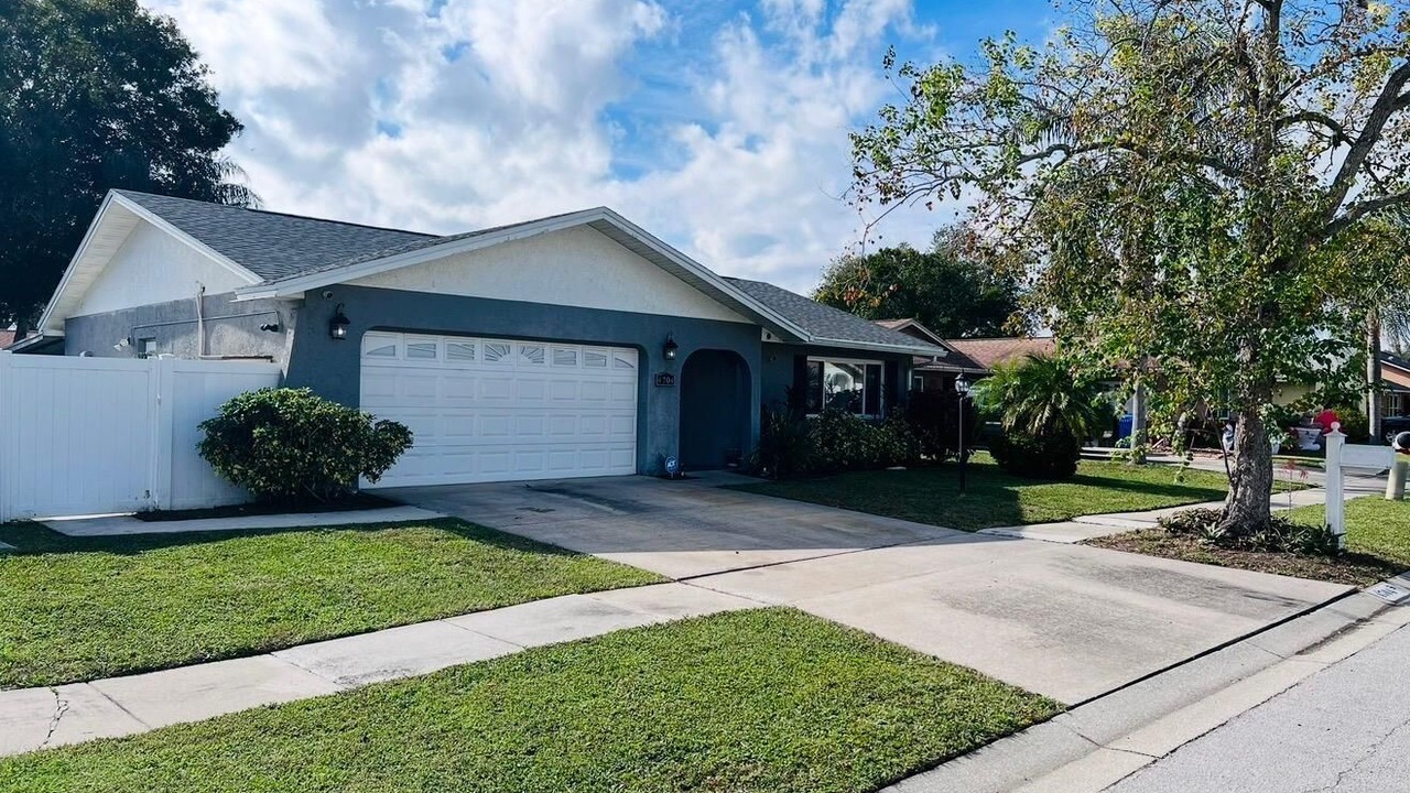 Photo of Outdoor in Carrollwood
