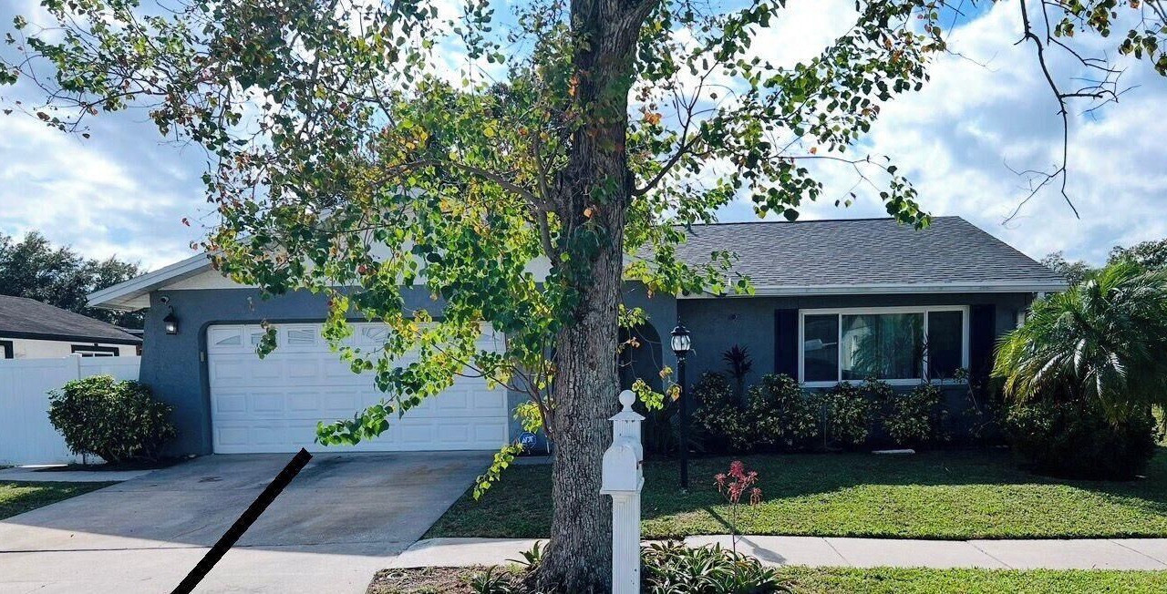 Photo of Outdoor in Carrollwood