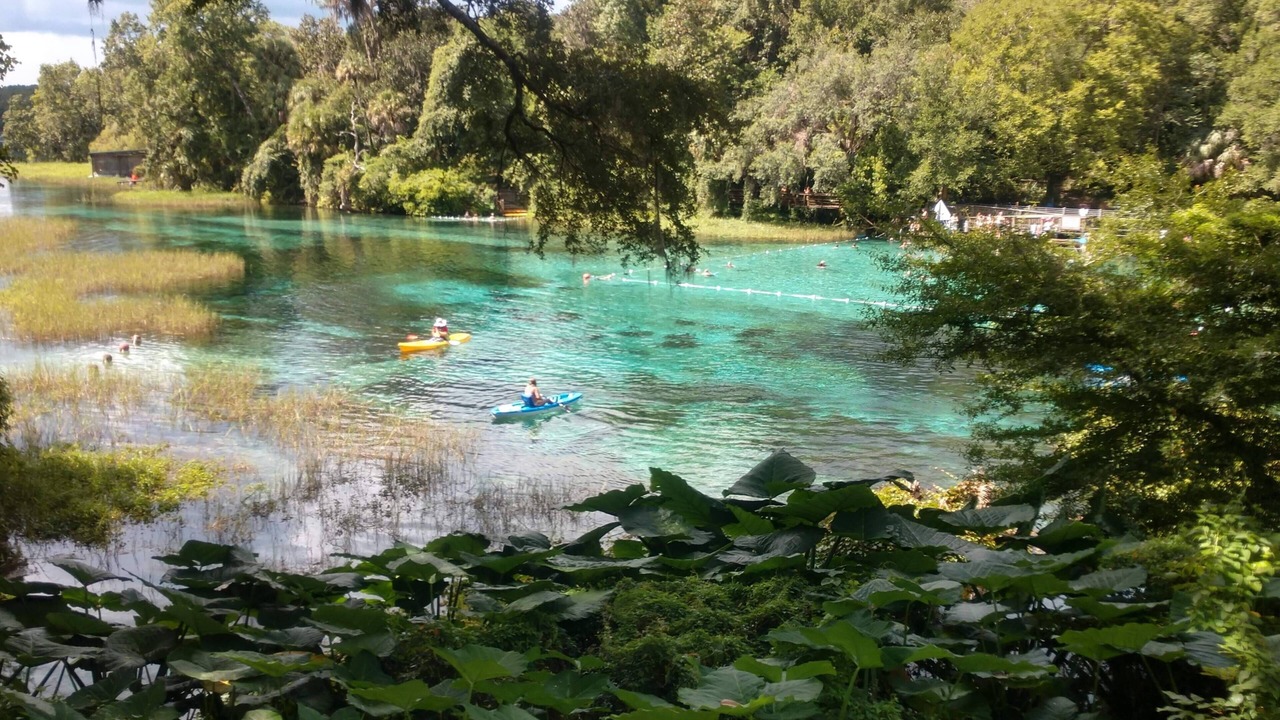 Photo of Others in Dunnellon