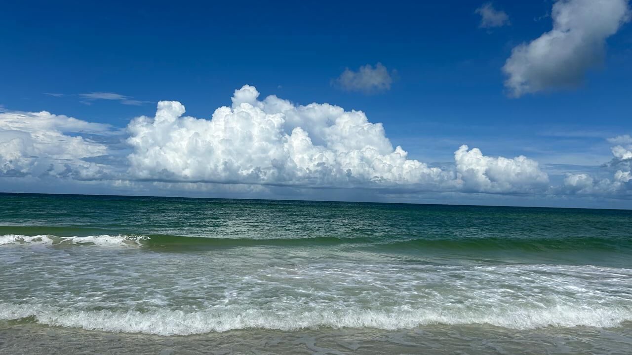 Photo of Others in Belleair Beach
