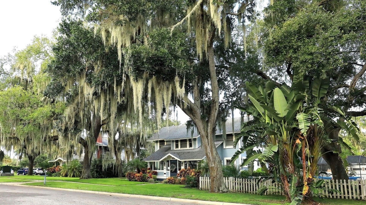Photo of Others in Mount Dora