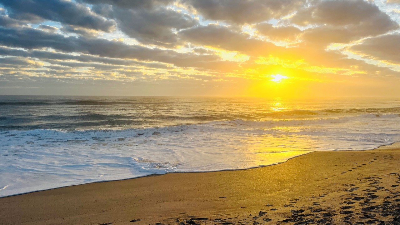 Photo of Others in Melbourne Beach