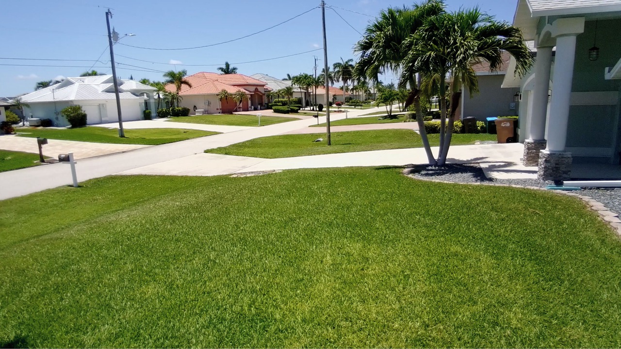 Photo of Outdoor in Pelican