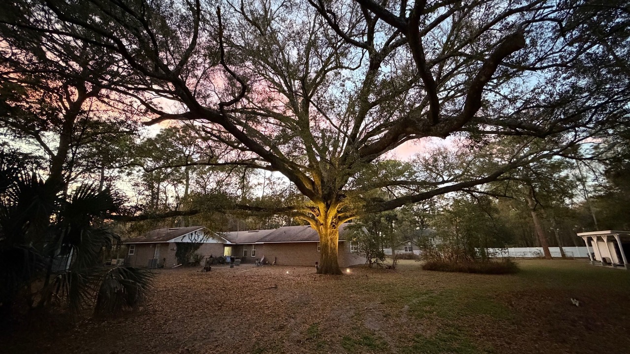Photo of Outdoor in Arlington