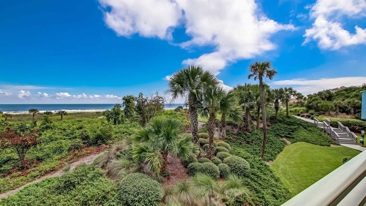 Photo of Outdoor in Fernandina Beach