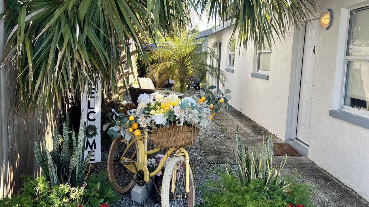 Photo of Outdoor in Palm Harbor