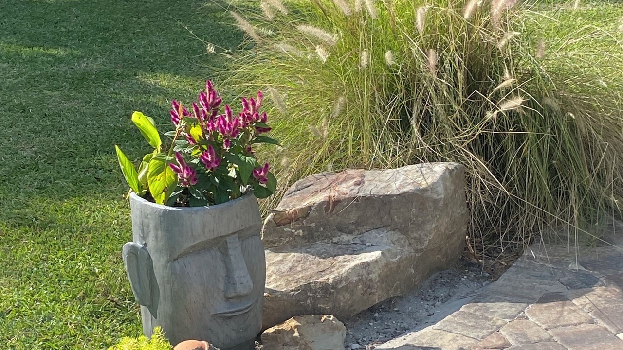 Photo of Outdoor in Crystal Beach