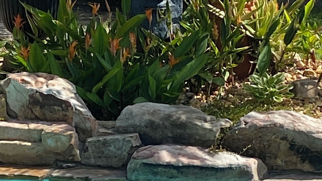 Photo of Outdoor in Crystal Beach