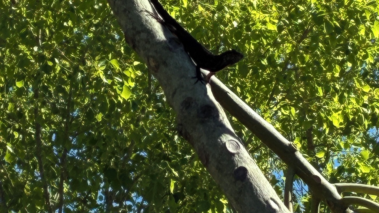 Photo of Others in Park East