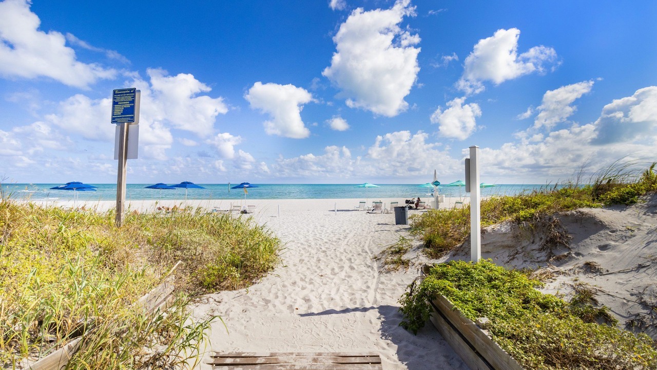 Photo of Others in Key Biscayne
