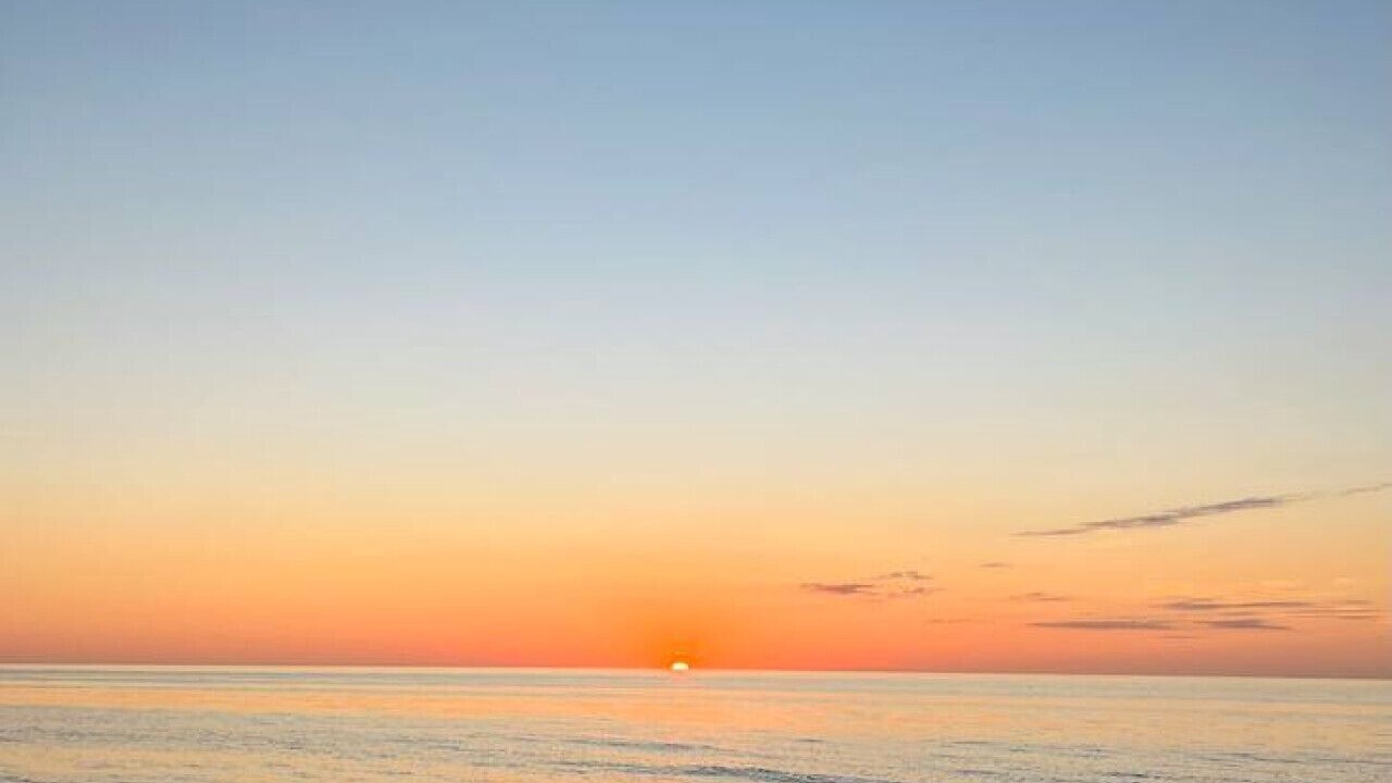 Photo of Others in Indian Rocks Beach