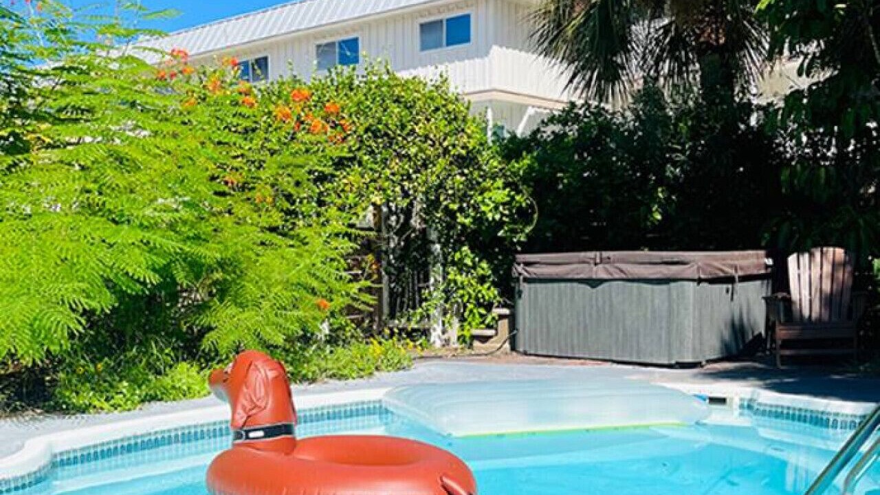 Photo of Outdoor in Indian Rocks Beach