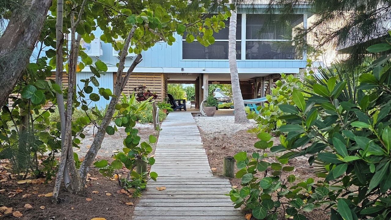 Photo of Outdoor in Palm Island