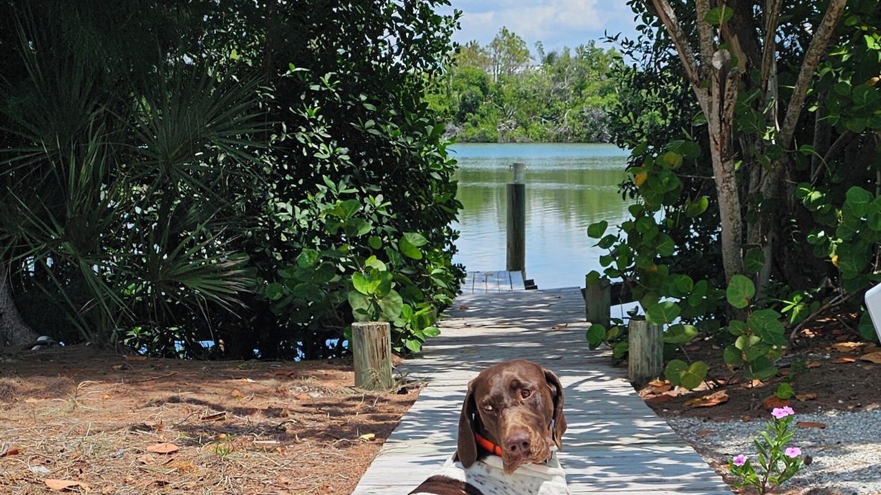 Photo of Others in Palm Island
