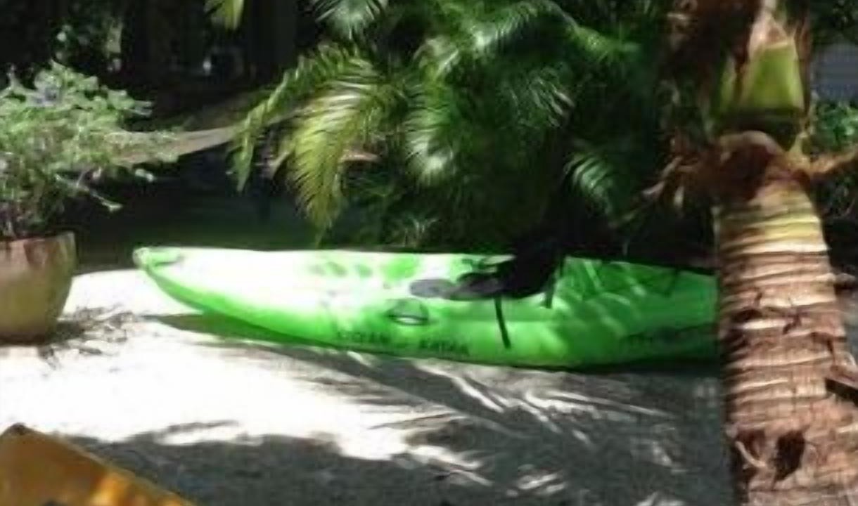 Photo of Outdoor in Palm Island