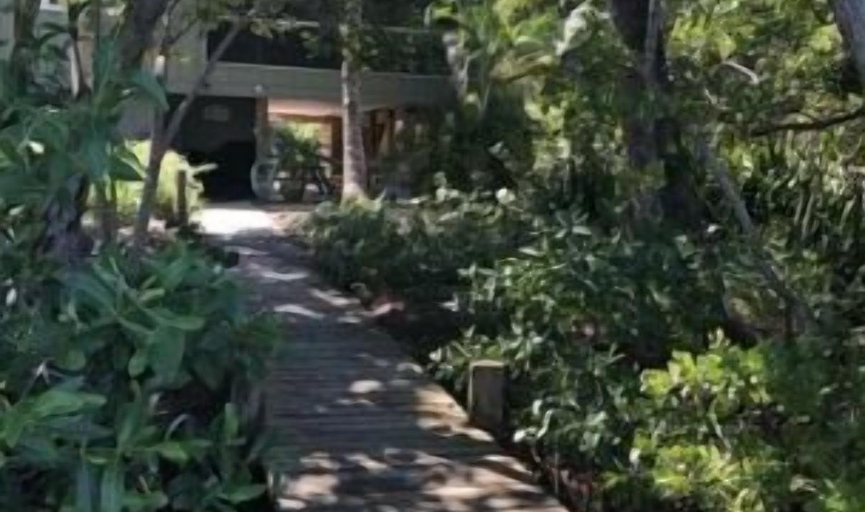 Photo of Outdoor in Palm Island