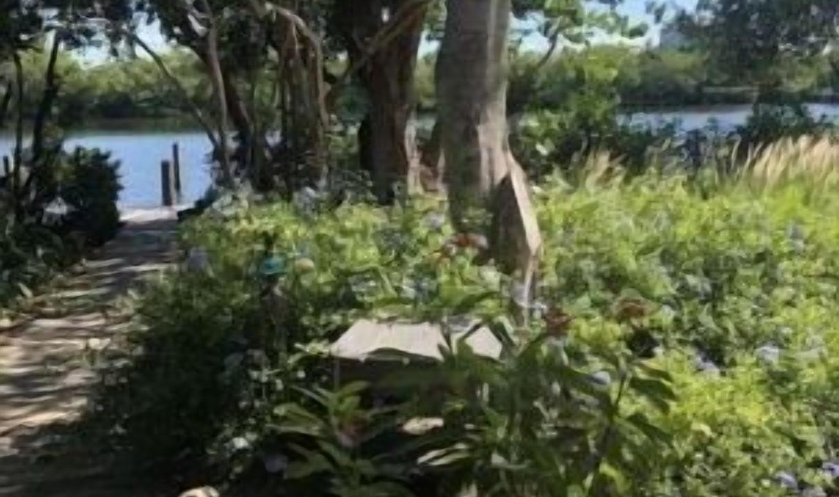 Photo of Outdoor in Palm Island