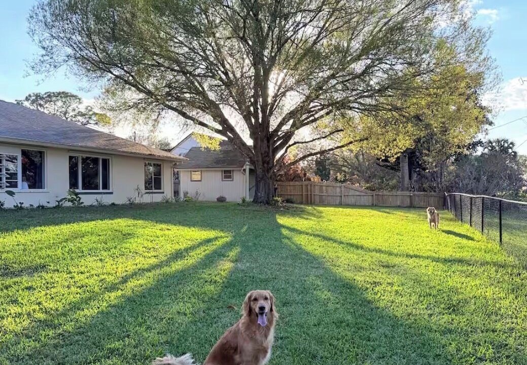 Photo of Outdoor in Merritt Island