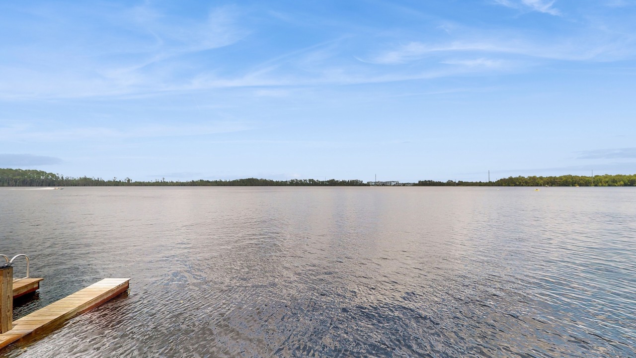 Photo of Others in Florida Central Atlantic Coast