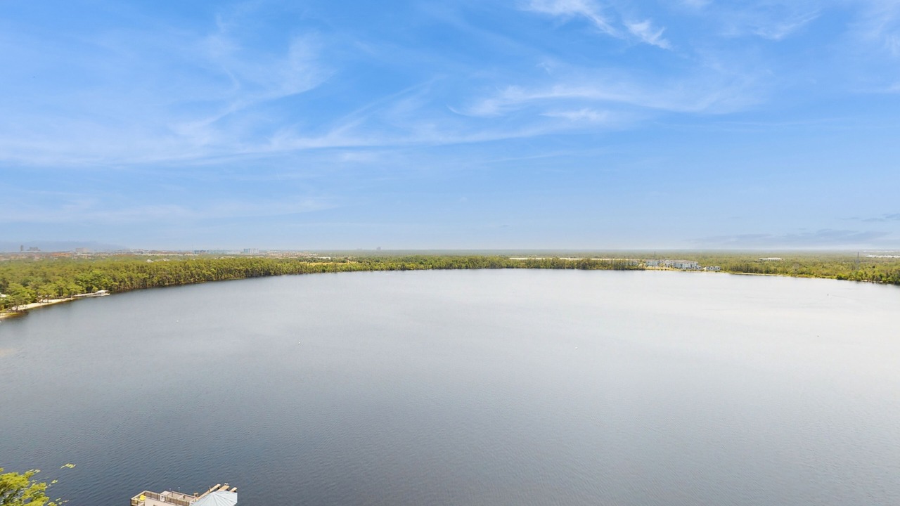 Photo of Others in Florida Central Atlantic Coast