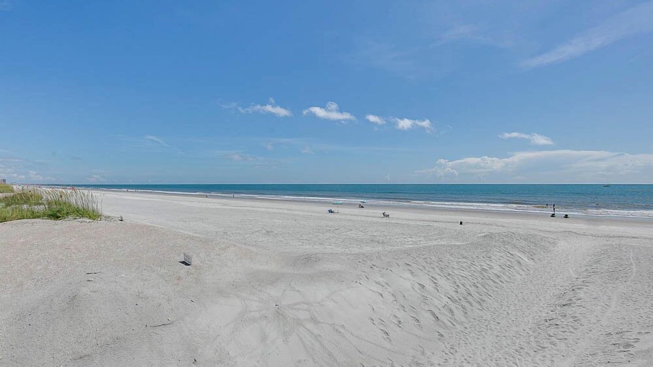 Photo of Others in Jacksonville Beach