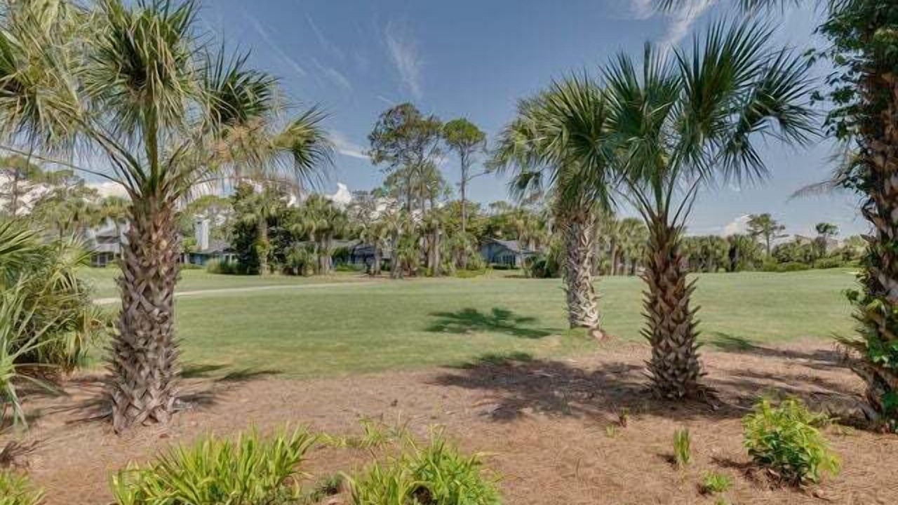 Photo of Others in Sawgrass