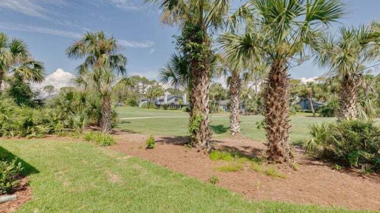 Photo of Others in Sawgrass