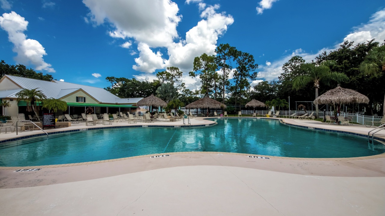 Photo of Outdoor in Jacarandas