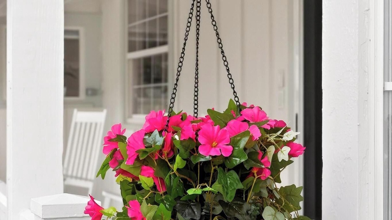 Photo of Outdoor in Mount Dora