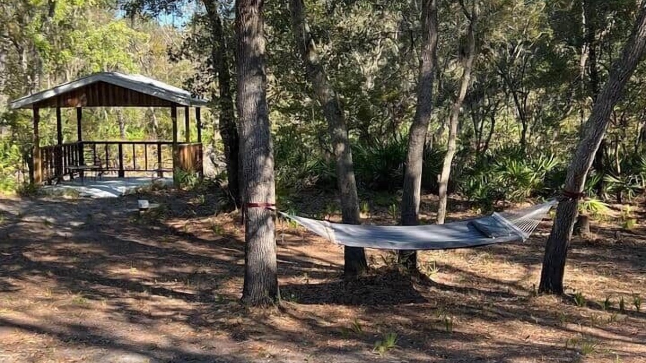 Photo of Outdoor in White Springs