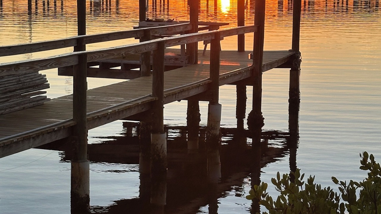 Photo of Others in Ellenton
