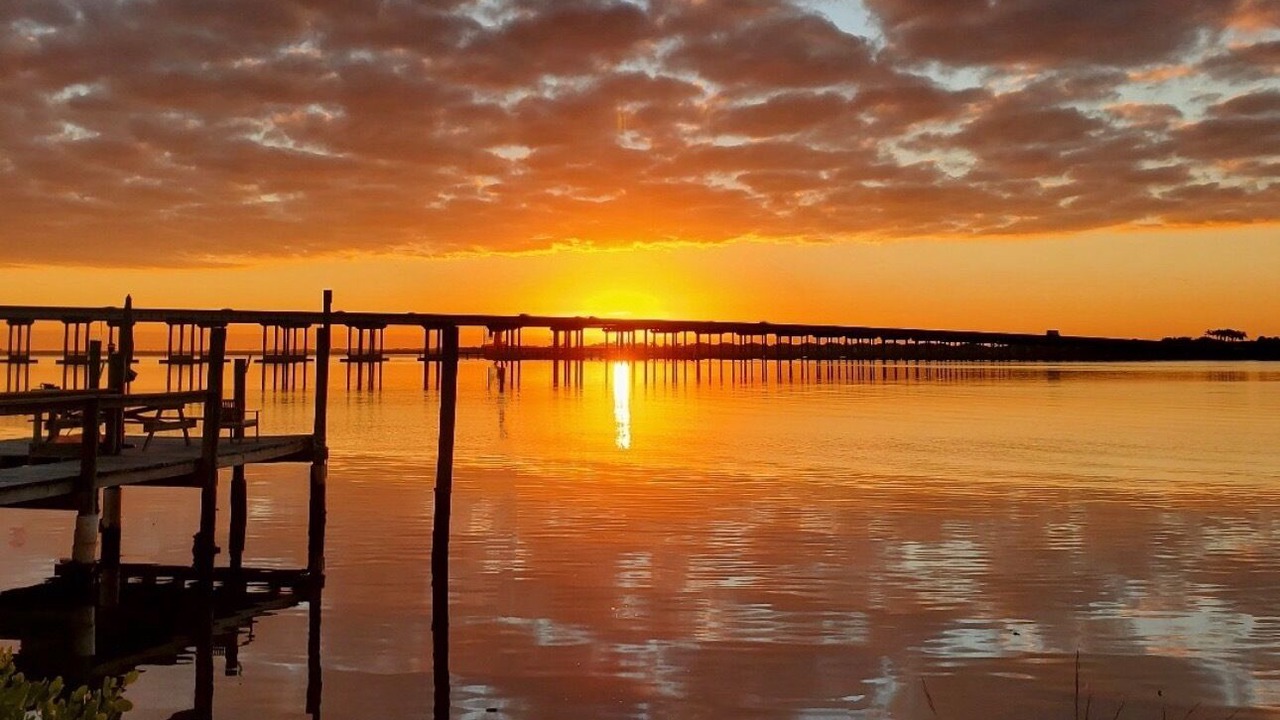 Photo of Others in Ellenton