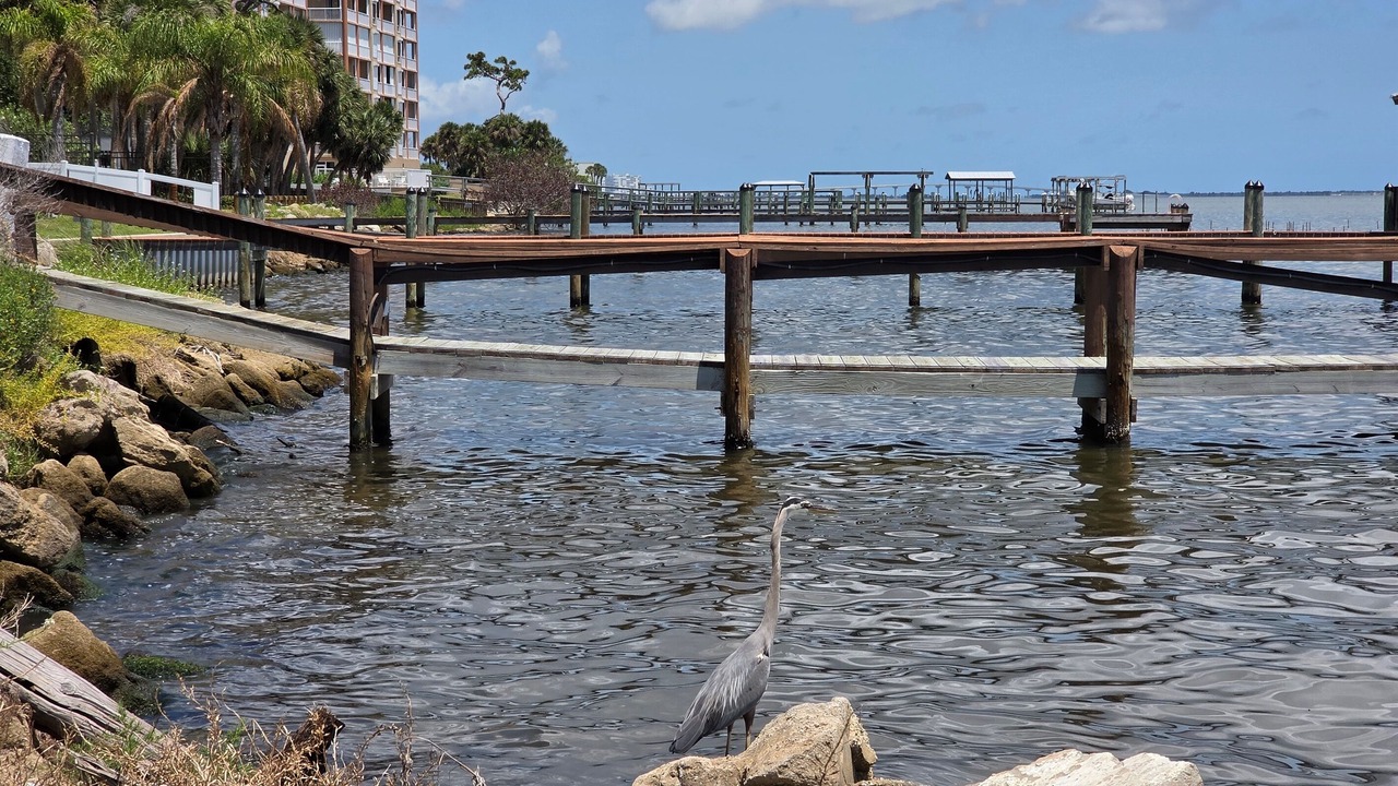 Photo of Others in Indian River Residence