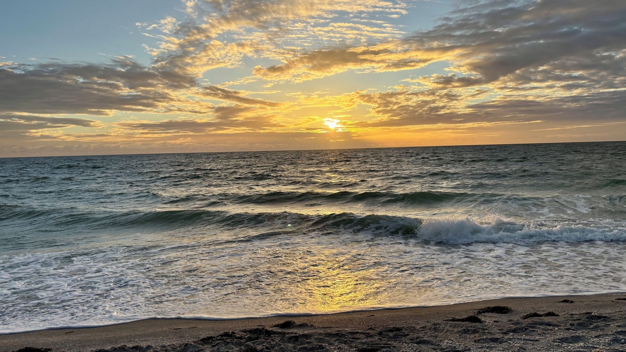 Photo of Others in Sanibel