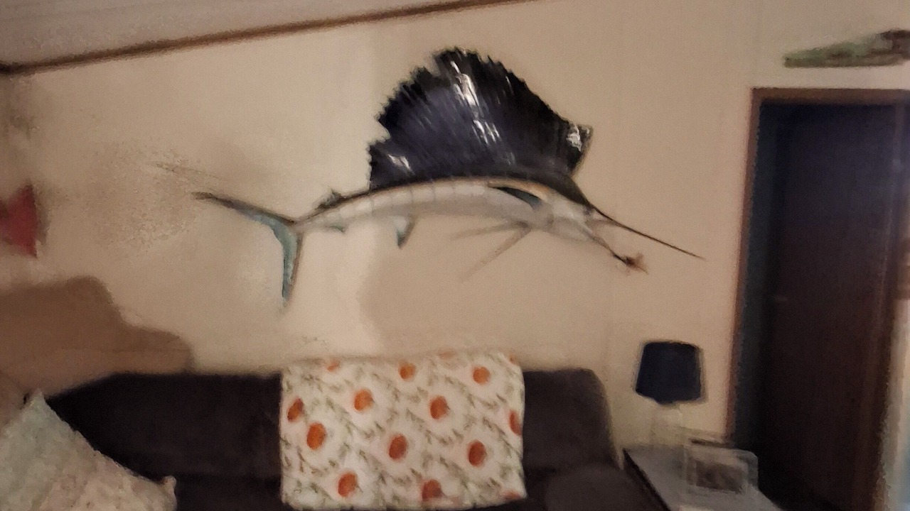 Photo of Livingroom in De Leon Springs