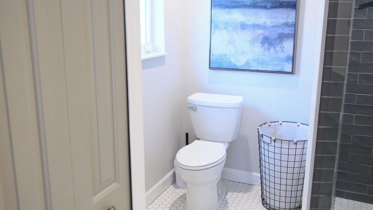 Photo of Bathroom in Safety Harbor