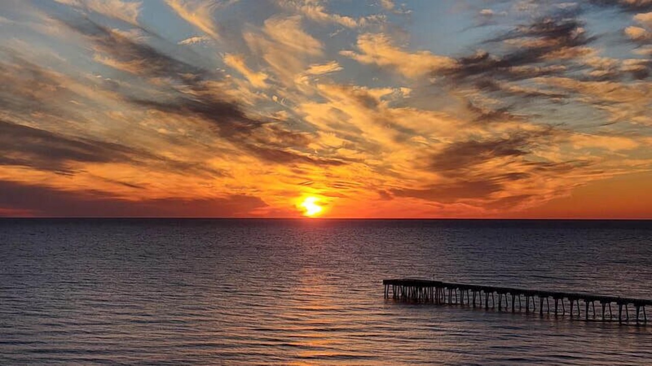 Photo of Others in Panama City Beach