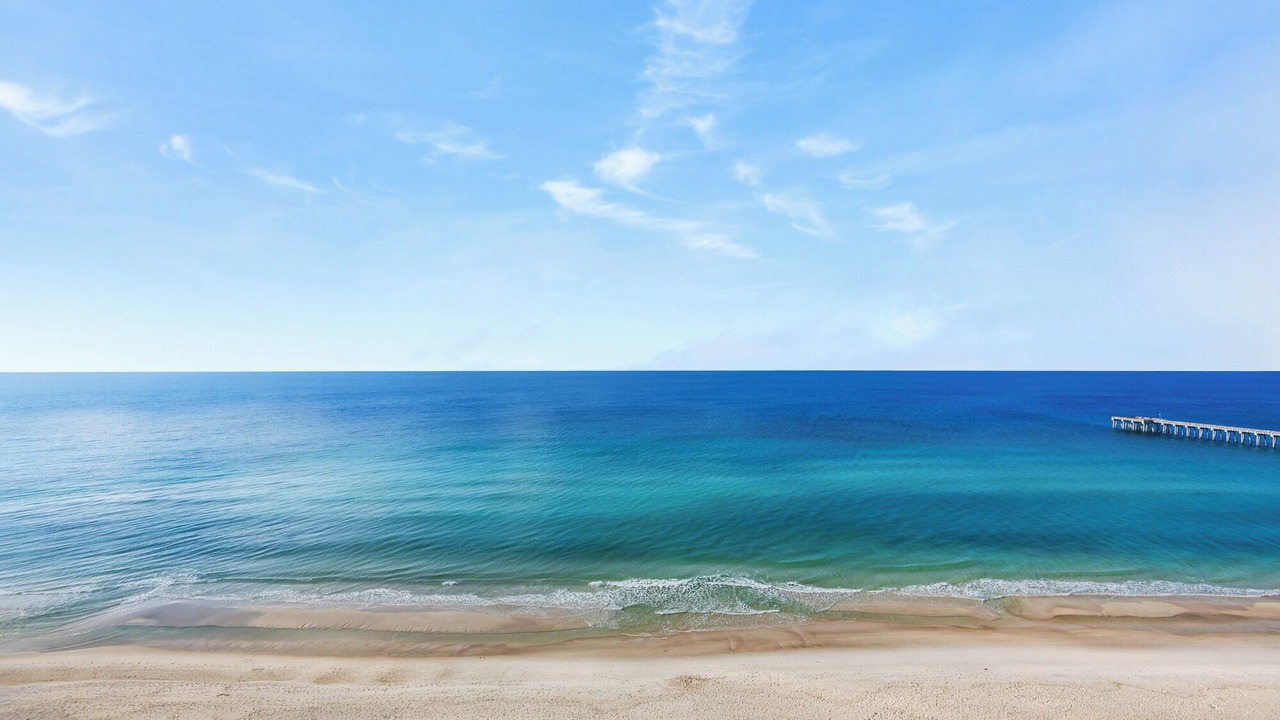 Photo of Others in Panama City Beach