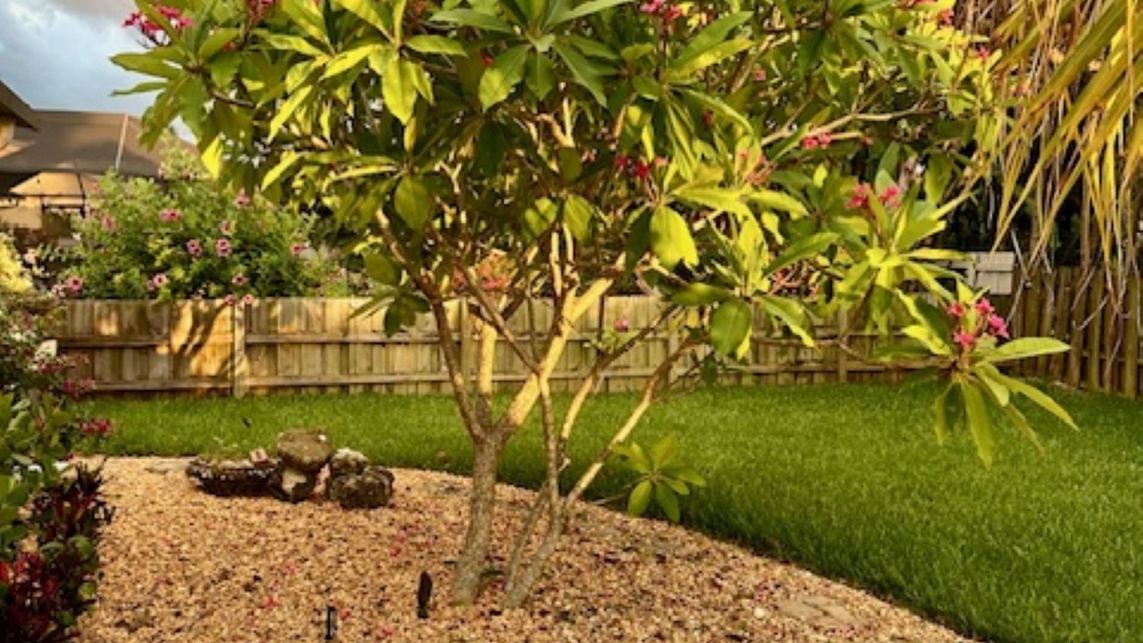 Photo of Outdoor in South Gate Ridge