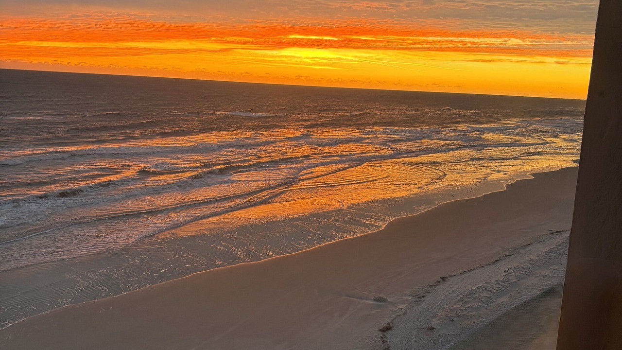 Photo of Others in Ponce Inlet